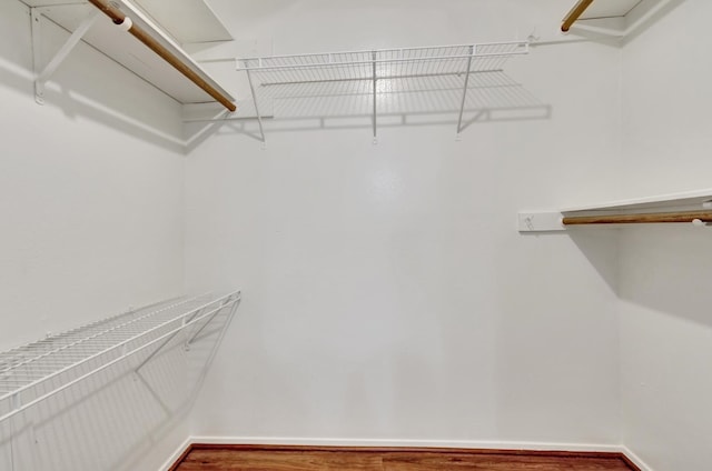 walk in closet with hardwood / wood-style flooring