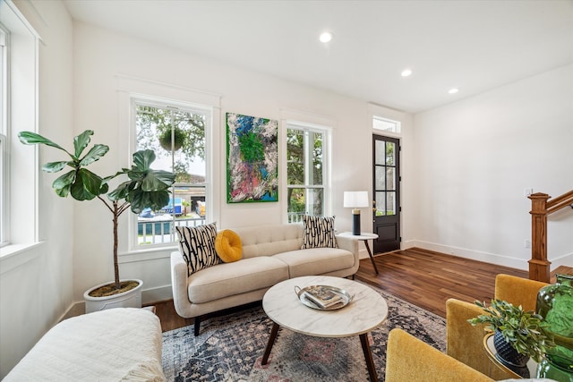 living room with wood-type flooring