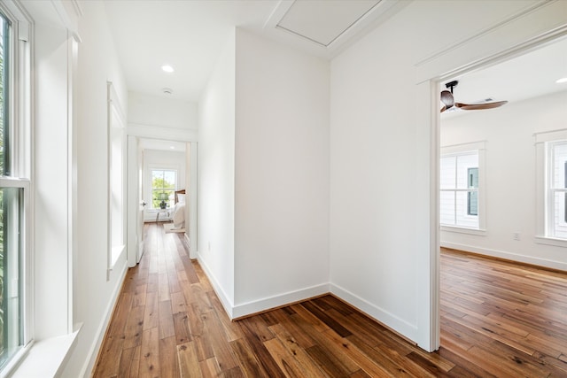 hall with wood-type flooring