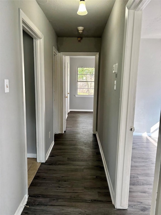 corridor with dark hardwood / wood-style floors