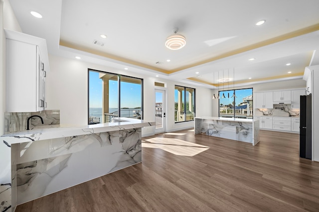 kitchen featuring tasteful backsplash, a tray ceiling, wood finished floors, and freestanding refrigerator