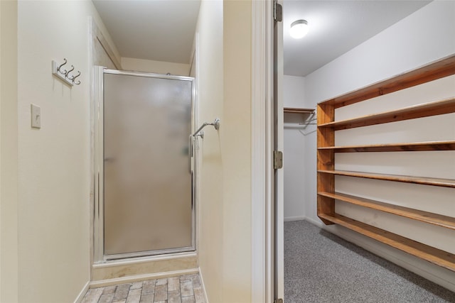 bathroom with a shower with shower door