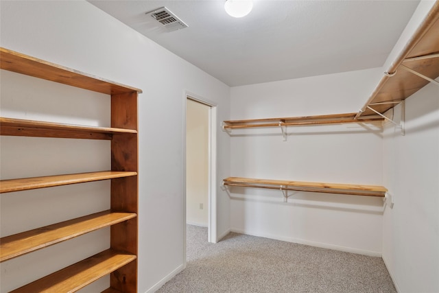 spacious closet with light carpet