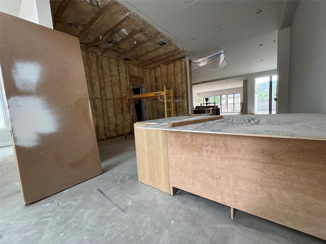 710 Glen Echo Ln, Hedwig Village, TX 77024 - kitchen featuring unfinished concrete flooring