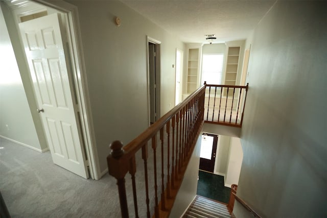 stairway with a wealth of natural light and carpet flooring