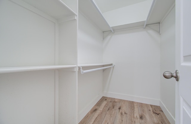 spacious closet with light wood-type flooring