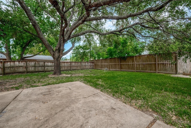 view of yard with a patio