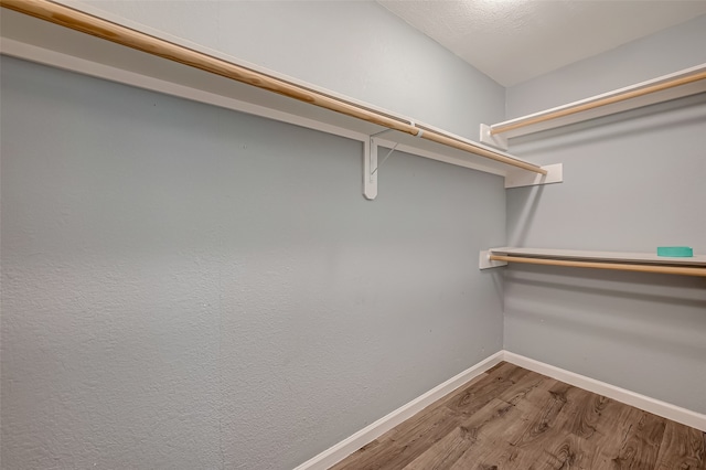 spacious closet with wood-type flooring