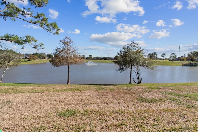 property view of water