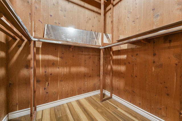 spacious closet with hardwood / wood-style flooring