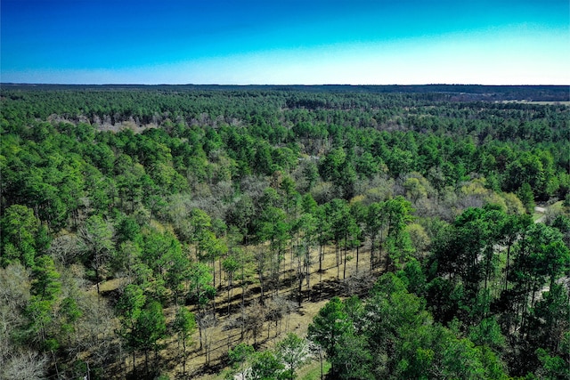 97 Utley Rd, Huntsville TX, 77320 land for sale