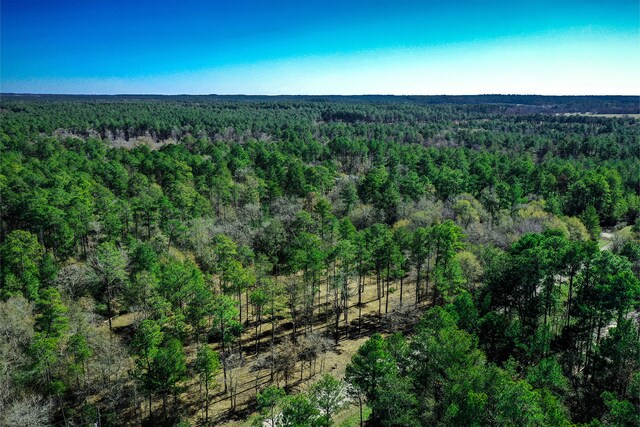 97 Utley Rd, Huntsville, TX 77320 - photo 1
