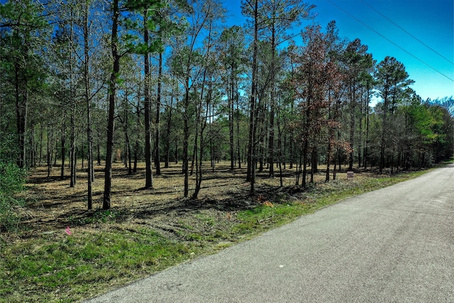 97 Utley Rd, Huntsville, TX 77320 - photo 3