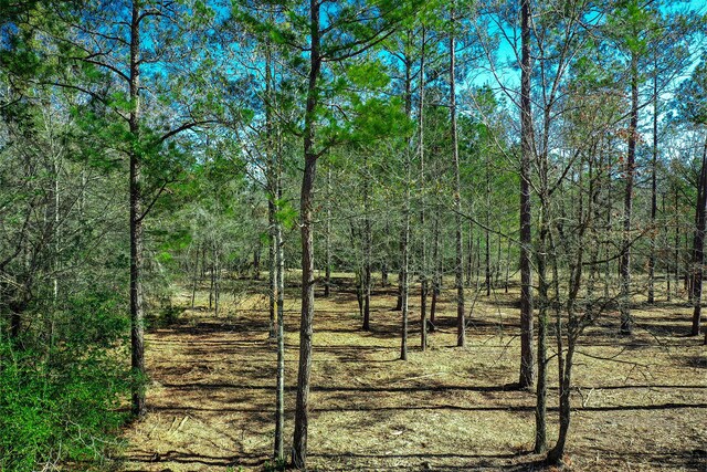 97 Utley Rd, Huntsville, TX 77320