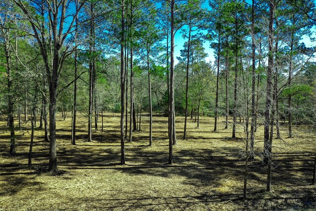 97 Utley Rd, Huntsville, TX 77320
