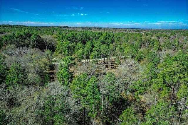 97 Utley Rd, Huntsville, TX 77320 - photo 10