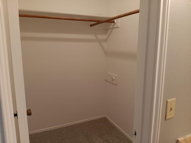 spacious closet with carpet flooring