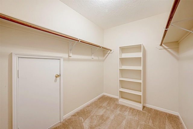 spacious closet with light colored carpet