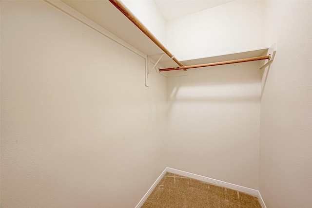 spacious closet with carpet flooring