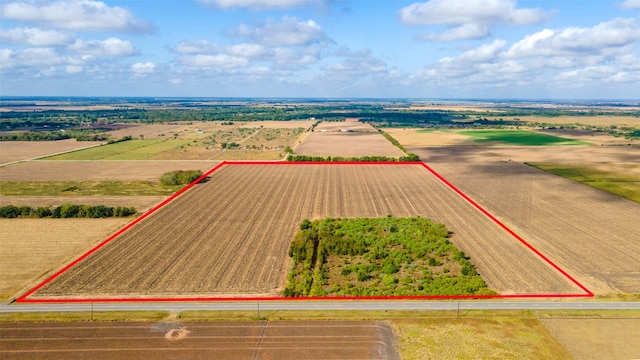 0 Fm 2919, Beasley TX, 77417 land for sale