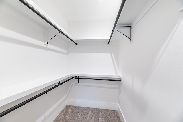 walk in closet with light colored carpet