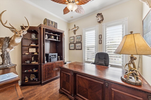 office with dark wood-type flooring, ceiling fan, and ornamental molding