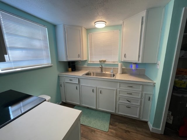 kitchen with white cabinetry and sink