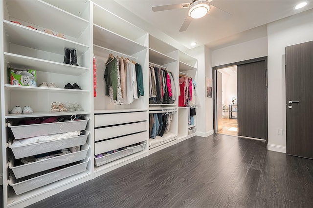 spacious closet with dark wood-type flooring and ceiling fan