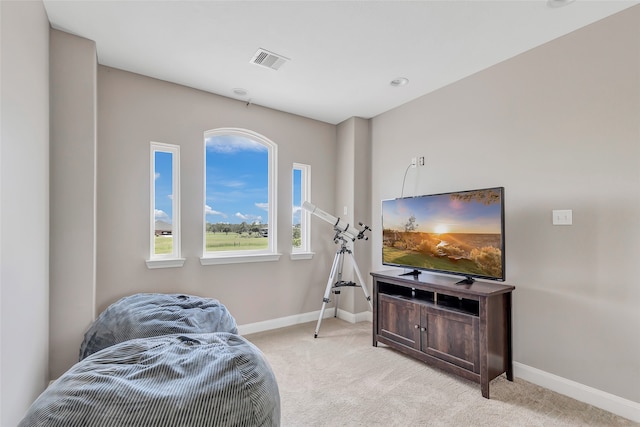 sitting room with light colored carpet