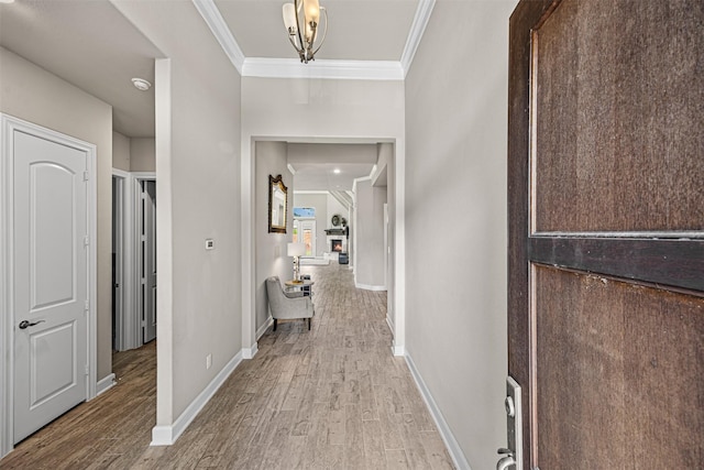 hall featuring baseboards, light wood-style floors, and crown molding