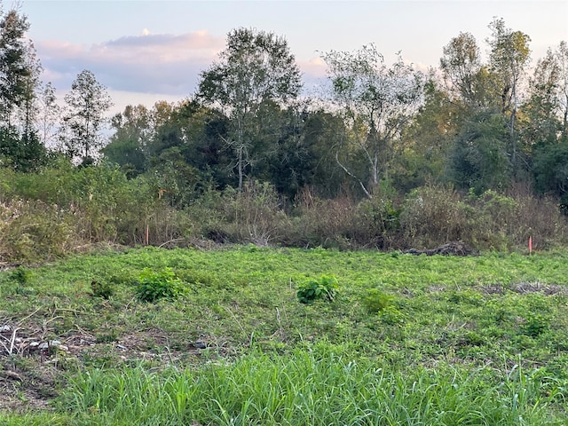 TBD Fm 1960, Dayton, TX 77535