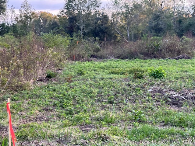 TBD Fm 1960, Dayton, TX 77535