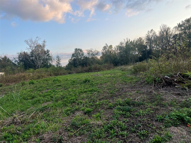 TBD Fm 1960, Dayton, TX 77535