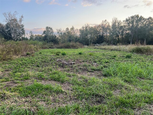 TBD Fm 1960, Dayton, TX 77535