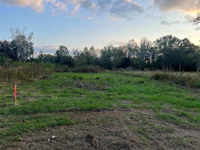 TBD Fm 1960, Dayton, TX 77535