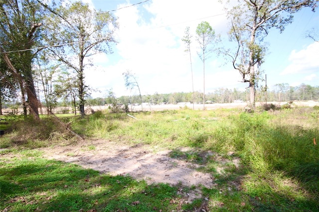 25619 Black, Splendora TX, 77372 land for sale