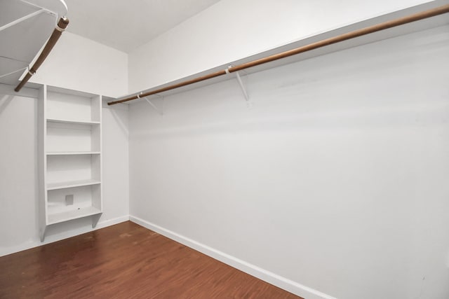 walk in closet with dark hardwood / wood-style floors