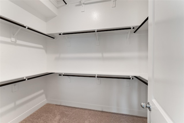 walk in closet featuring light carpet