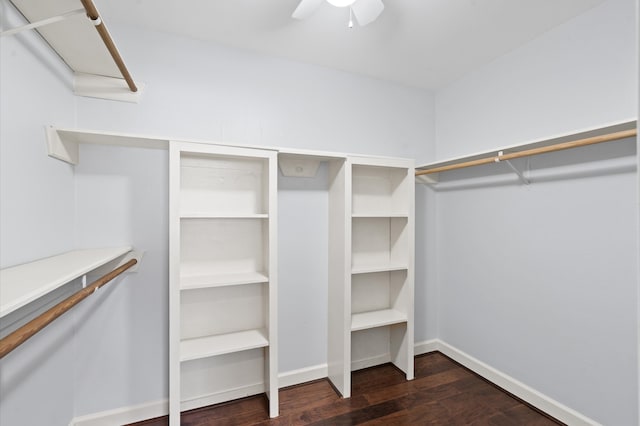 walk in closet with dark hardwood / wood-style flooring and ceiling fan