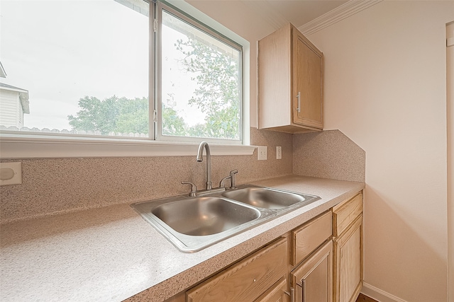 kitchen with decorative backsplash, light brown cabinets, sink, and crown molding