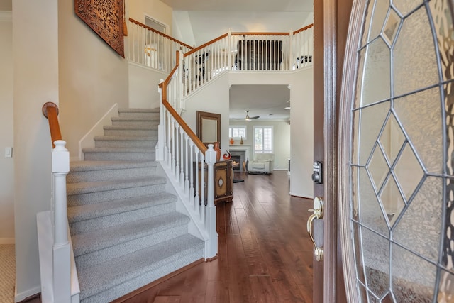 foyer entrance with a high ceiling and dark hardwood / wood-style flooring