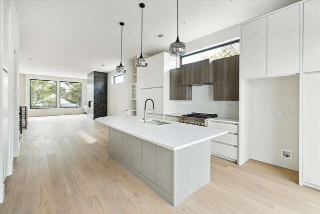 kitchen featuring light wood-type flooring, custom range hood, dark brown cabinets, sink, and an island with sink