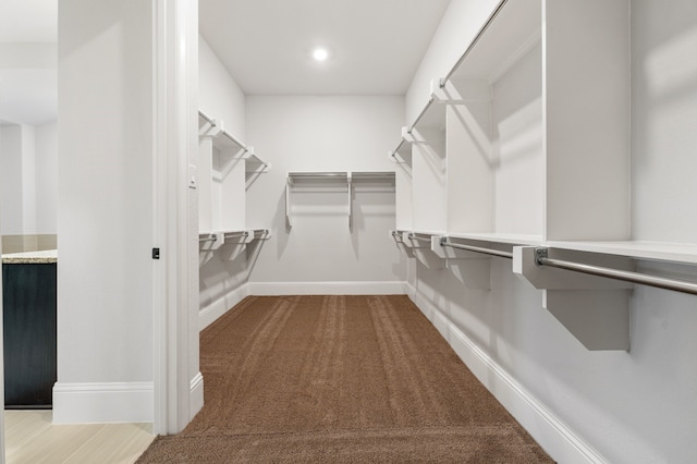 walk in closet featuring carpet floors