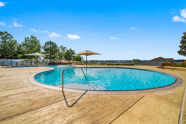 view of pool with a patio