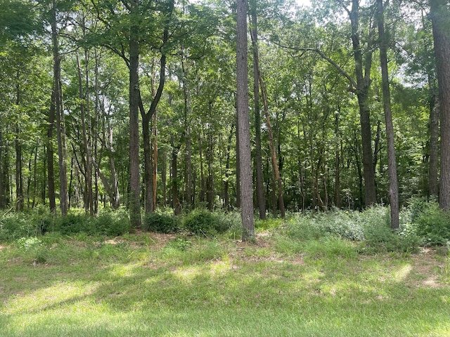 Listing photo 3 for LOT38 Venice Way, Huntsville TX 77320