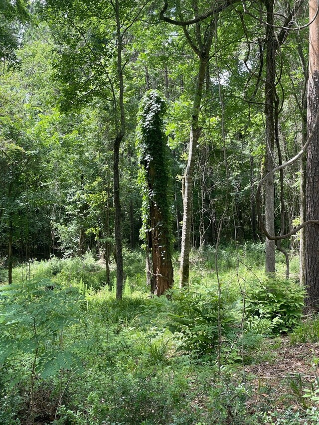 LOT38 Venice Way, Huntsville, TX 77320