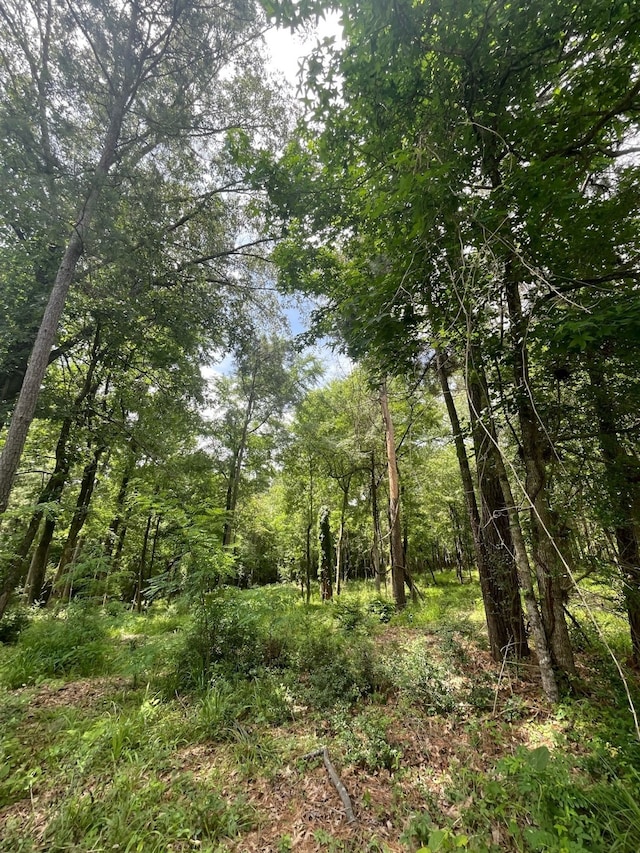 LOT38 Venice Way, Huntsville, TX 77320