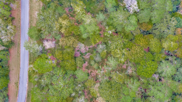 LOT38 Venice Way, Huntsville, TX 77320