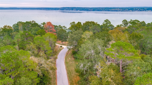 LOT38 Venice Way, Huntsville, TX 77320