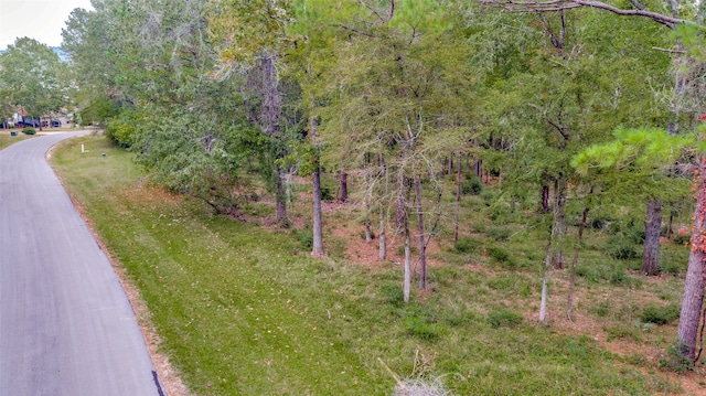 LOT38 Venice Way, Huntsville, TX 77320